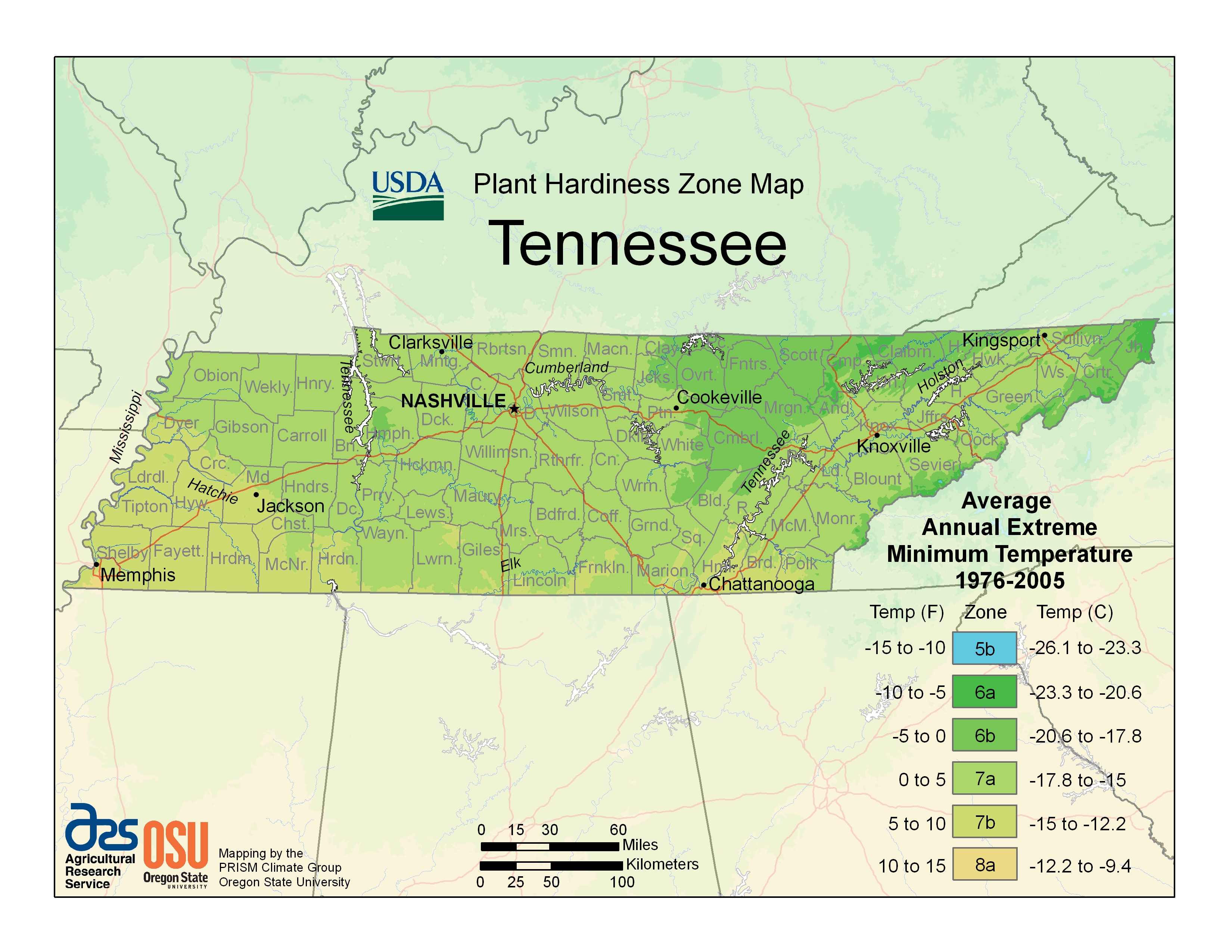 Best Types of Grass in Tennessee (7 Varieties)